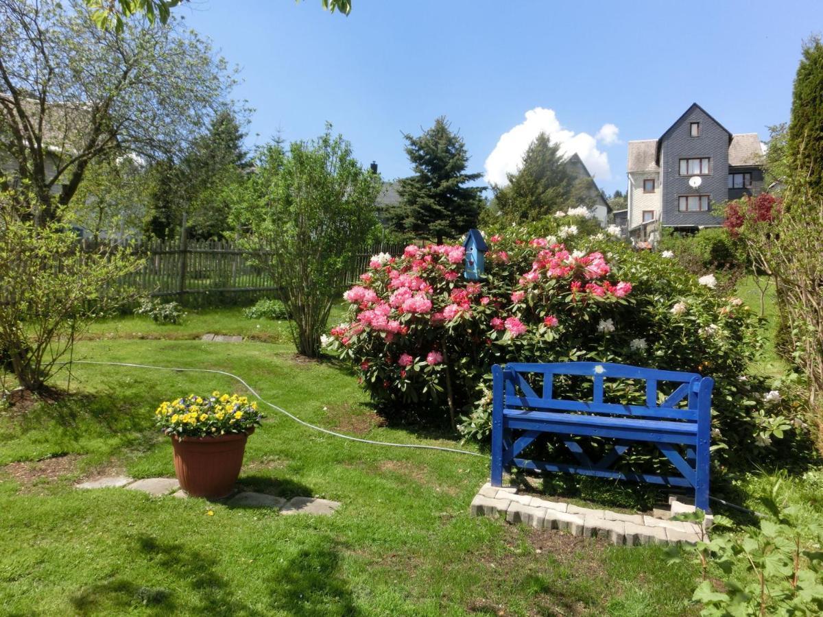 Apartment In Thuringian Forest With Garden Schwarzatal Екстер'єр фото