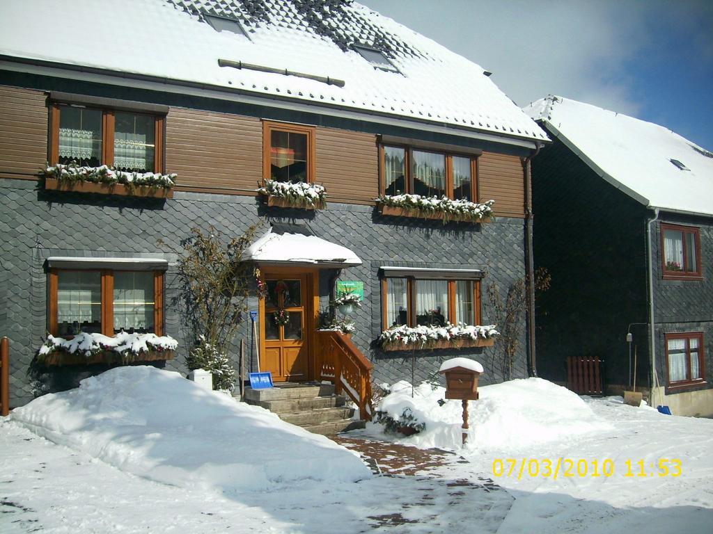 Apartment In Thuringian Forest With Garden Schwarzatal Екстер'єр фото